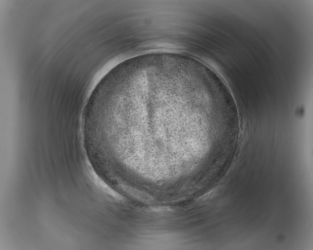 X0000114991243200911091327