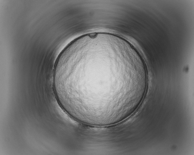 X0000114991244200911091327