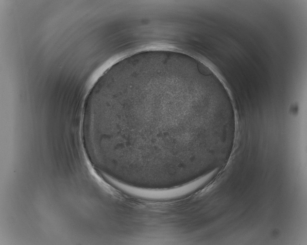 X0000114991245200911091327