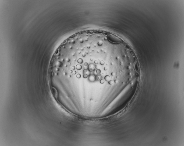 X0000114991247200911091327