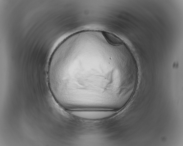 X0000114991248200911091327