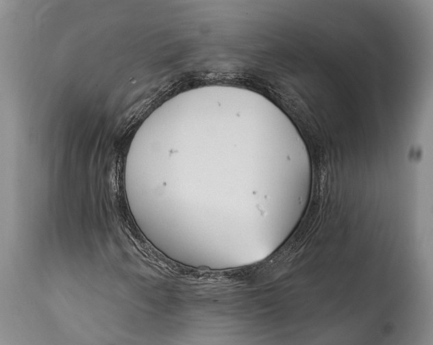 X0000114991250200911091327