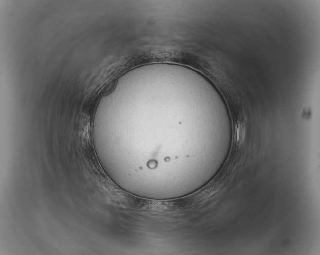 X0000114991251200911091327
