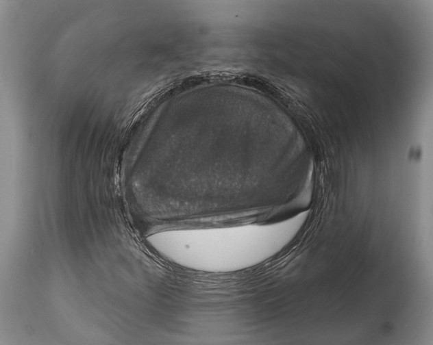 X0000114991252200911091327