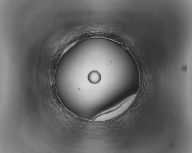X0000114991253200911091327