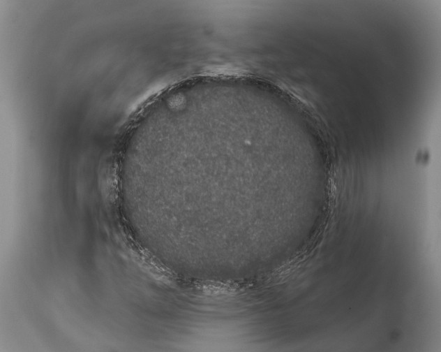 X0000114991254200911091327