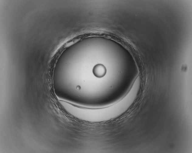X0000114991256200911091327