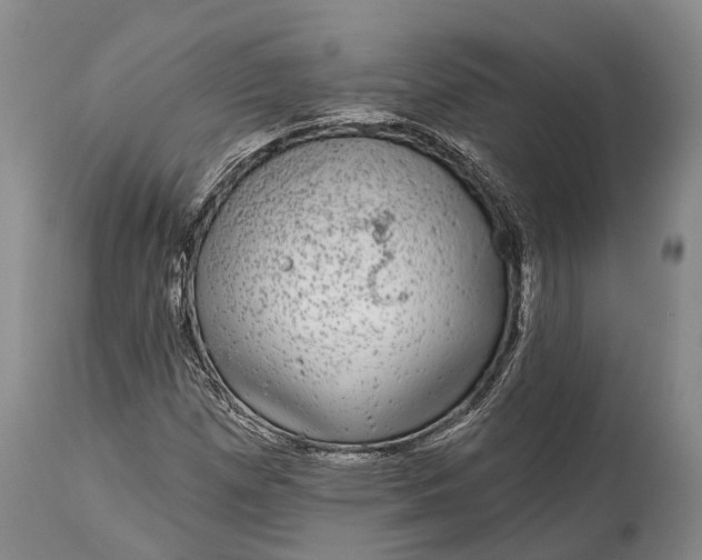 X0000114991257200911091327