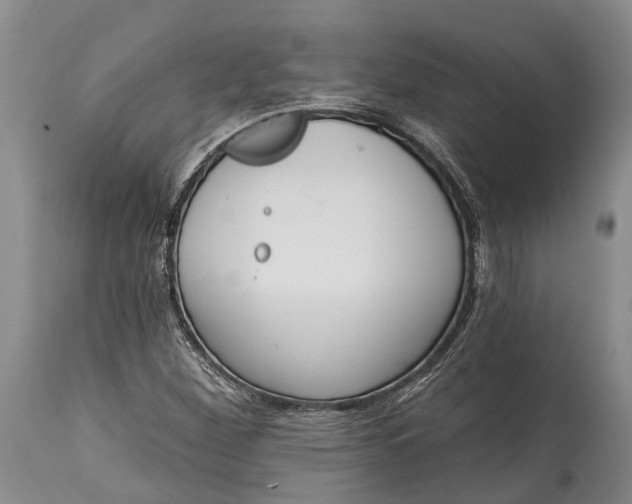 X0000114991260200911091326