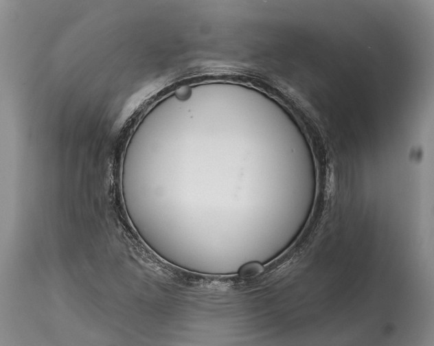X0000114991261200911091326