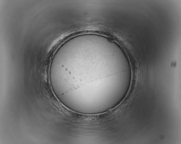 X0000114991262200911091326