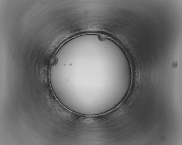 X0000114991265200911091326