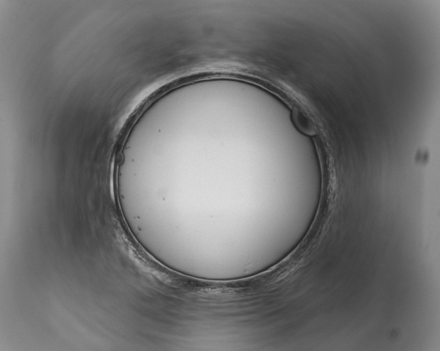 X0000114991272200911091326