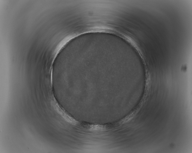 X0000114991275200911091326