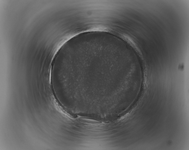 X0000114991276200911091326