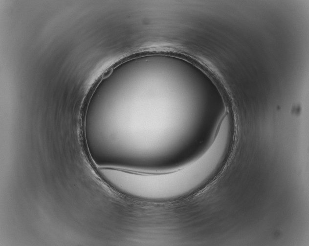 X0000114991277200911091326