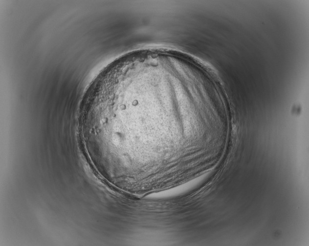 X0000114991279200911091326