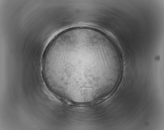 X0000114991280200911091326