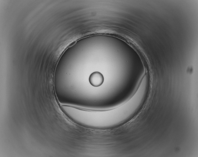 X0000114991281200911091326