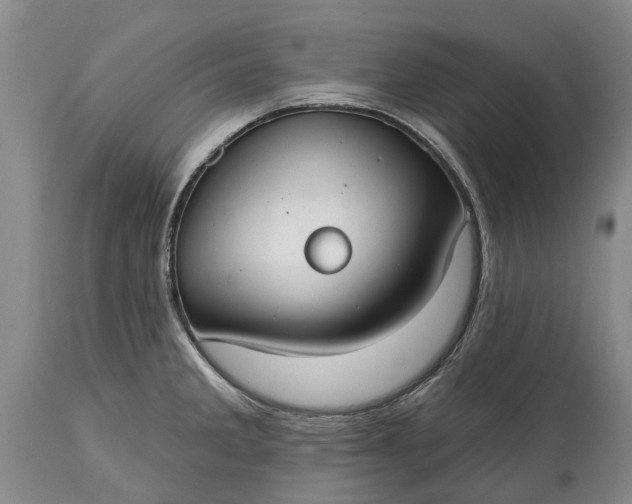 X0000114991285200911091326