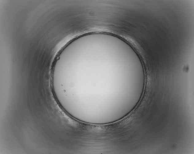 X0000114991286200911091326