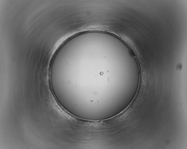 X0000114991288200911091326