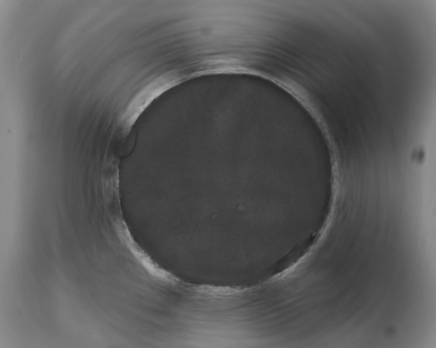 X0000114991289200911091326