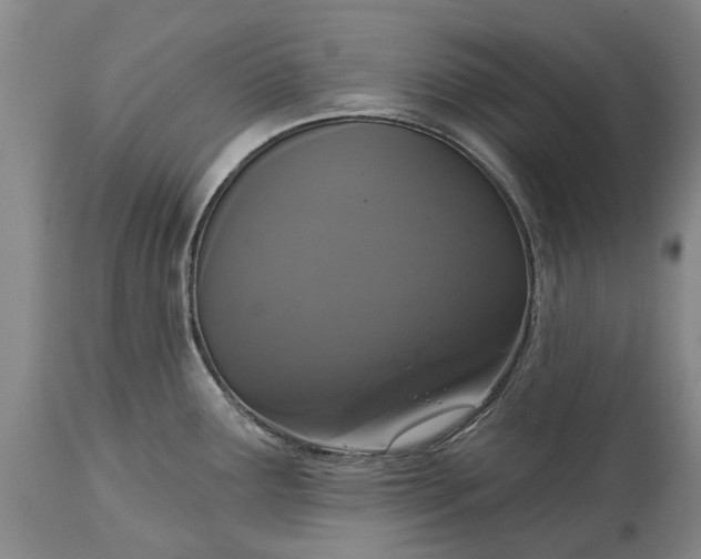 X0000114991291200911091326