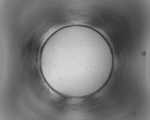 X0000114991294200911091326