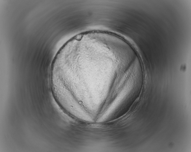 X0000114991295200911091326