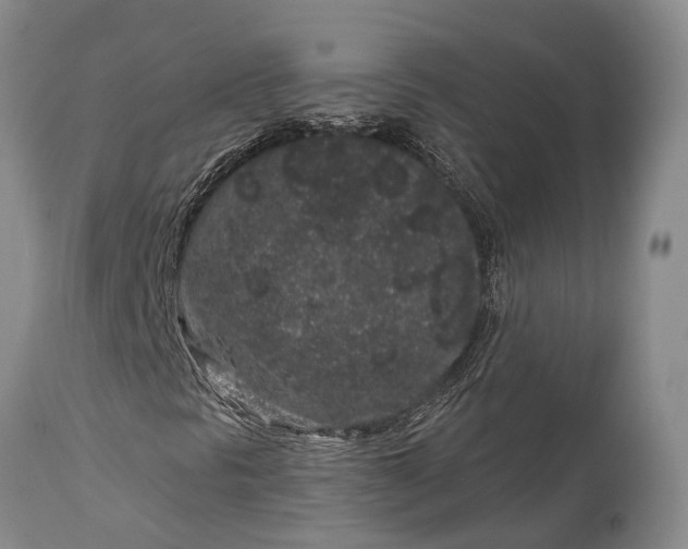 X0000114991297200911091325