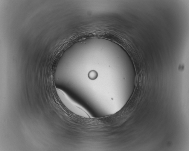 X0000114991298200911091325