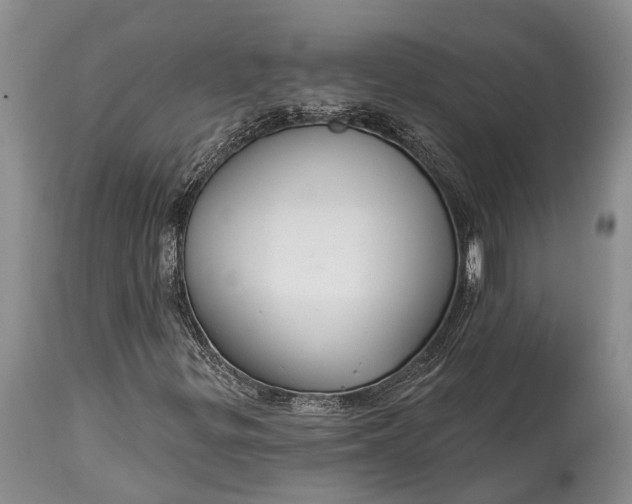X0000114991299200911091325