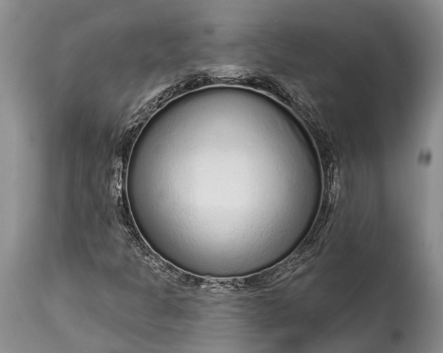 X0000114991301200911091325