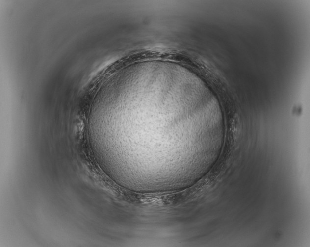 X0000114991302200911091325