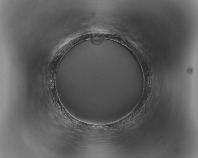 X0000114991303200911091325