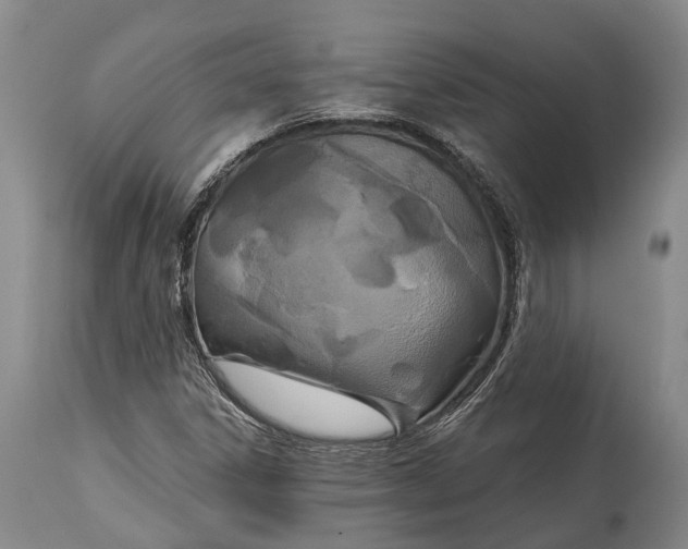 X0000114991306200911091325