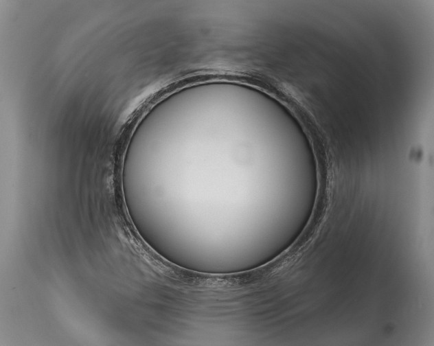 X0000114991307200911091325