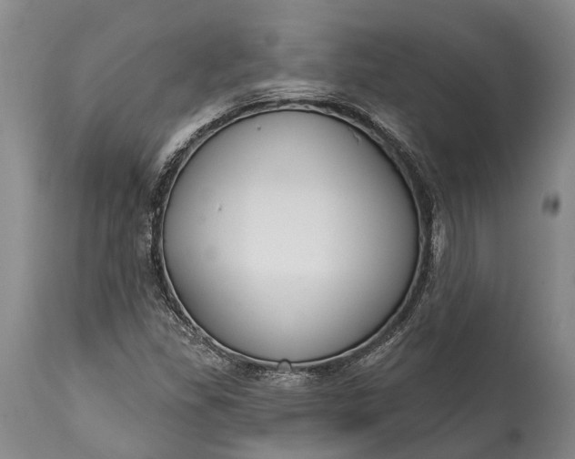 X0000114991309200911091325