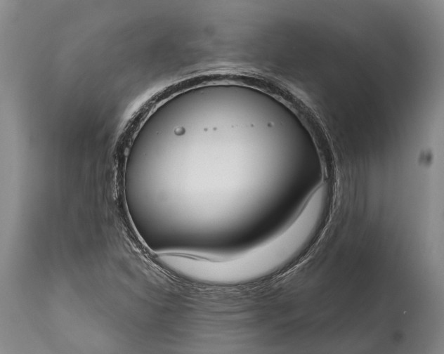 X0000114991310200911091325
