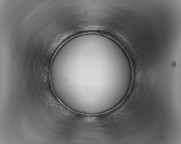 X0000114991313200911091325