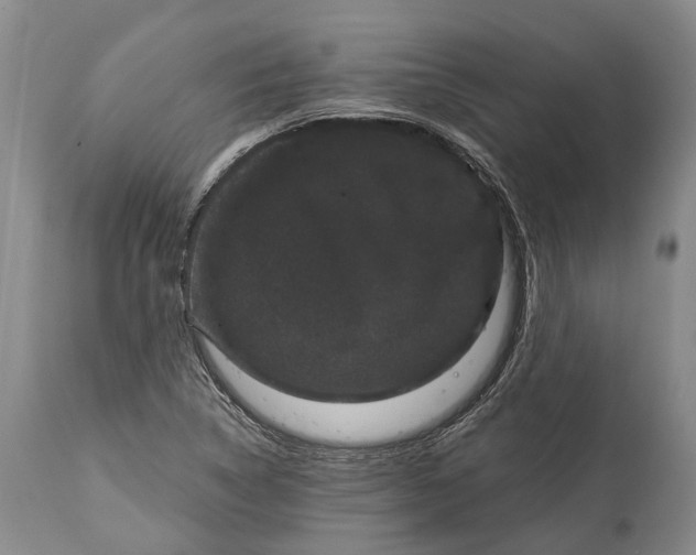 X0000114991314200911091325