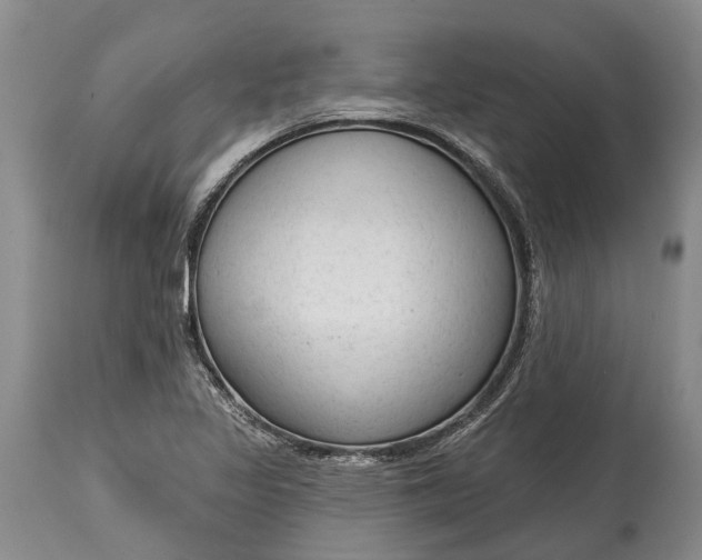 X0000114991317200911091325