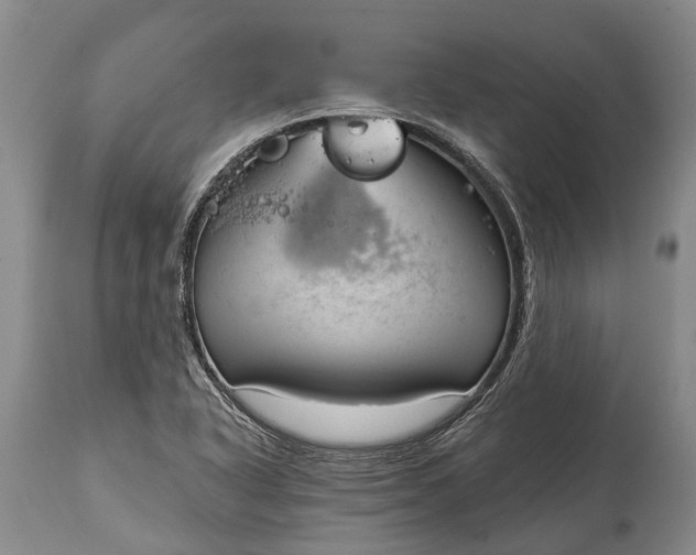 X0000114991318200911091325