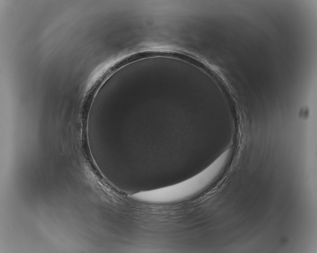 X0000114991319200911091325