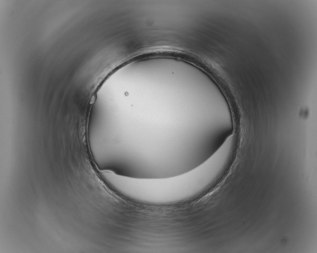 X0000114991321200911091325