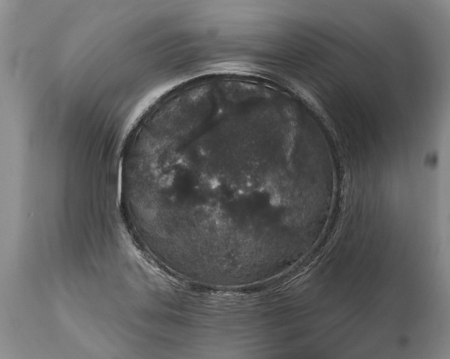 X0000114991323200911091326