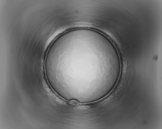 X0000114991325200911091326