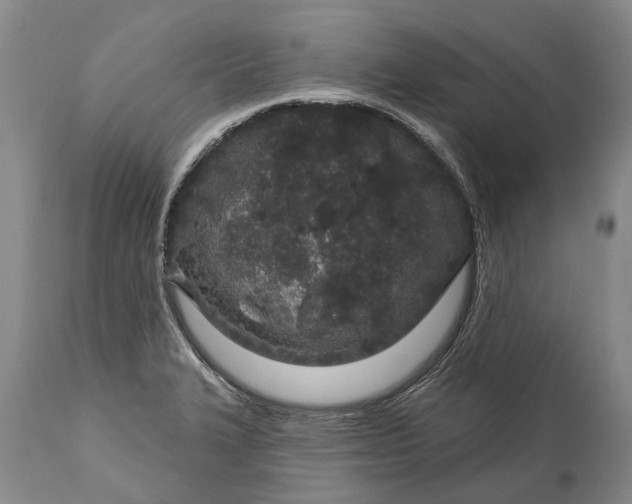 X0000114991327200911091326