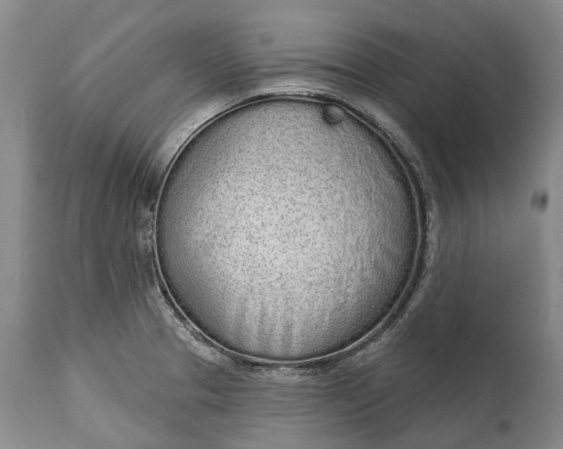 X0000114991329200911091326